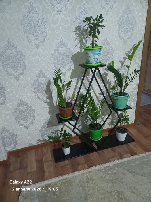 Полка для цветов