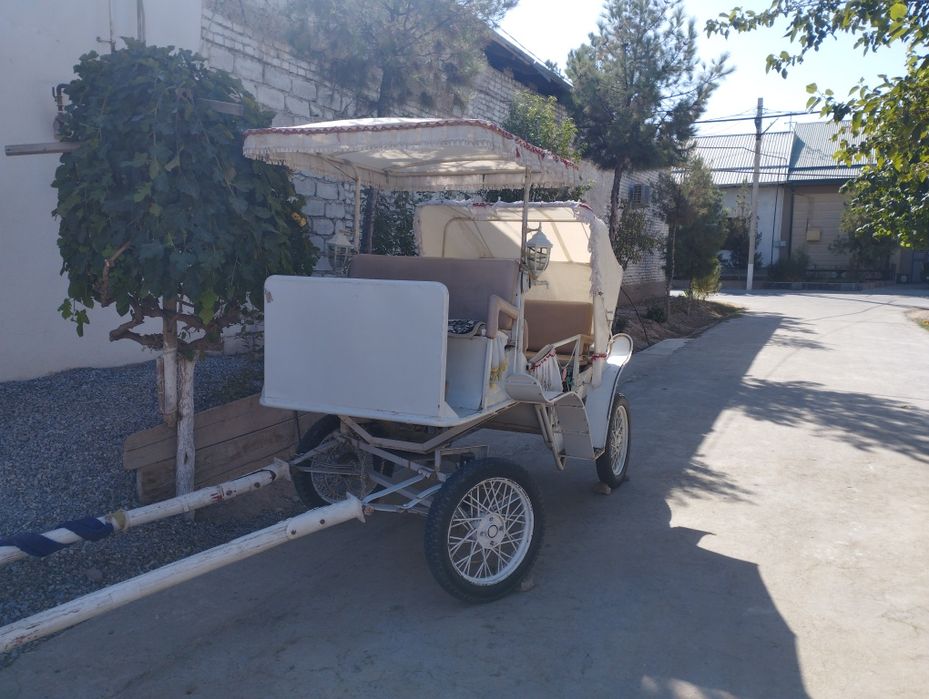 От арава сотилади Карши шахар