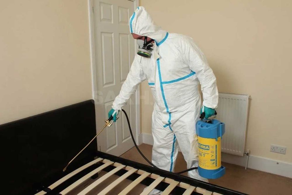 Dezenfeksiya Дезинфекция dezinfeksiya клоп klapa tarakan таракан 100%