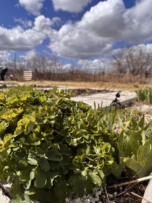 Продам дачу в СО ДАРХАН