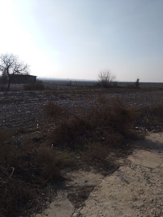 Ховли 16 сотх. 6 та хона.