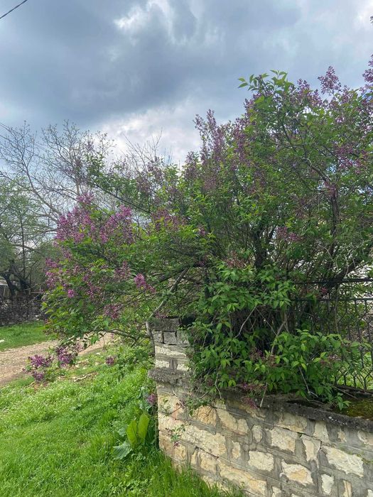 Продава се Къща в с. Камено поле, Област Враца - 150 кв.м за 102 €/кв.м - Снимка #20