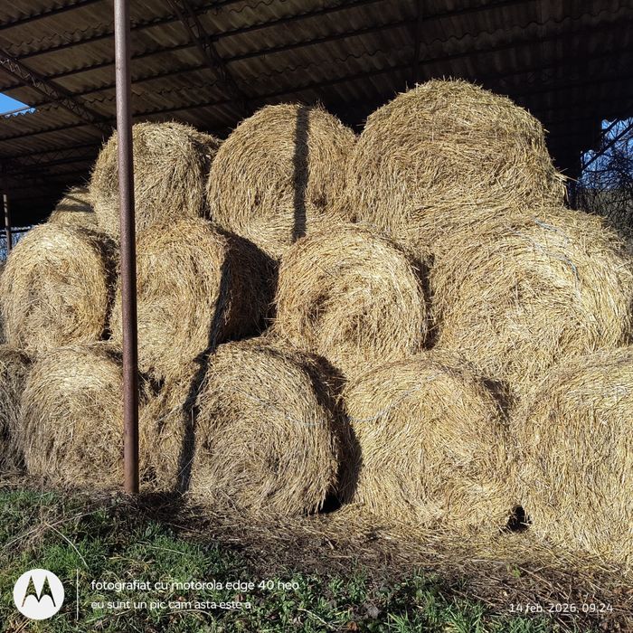 Vand baloti de lucerna