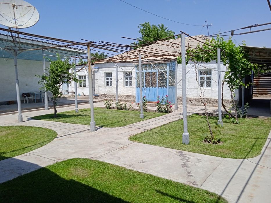 Qalada porno jinsiy aloqa