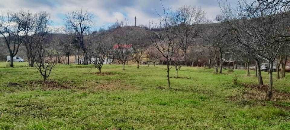 Teren intravilan de vanzare la Teaca jud. Bistrita Nasaud, pret negociabil