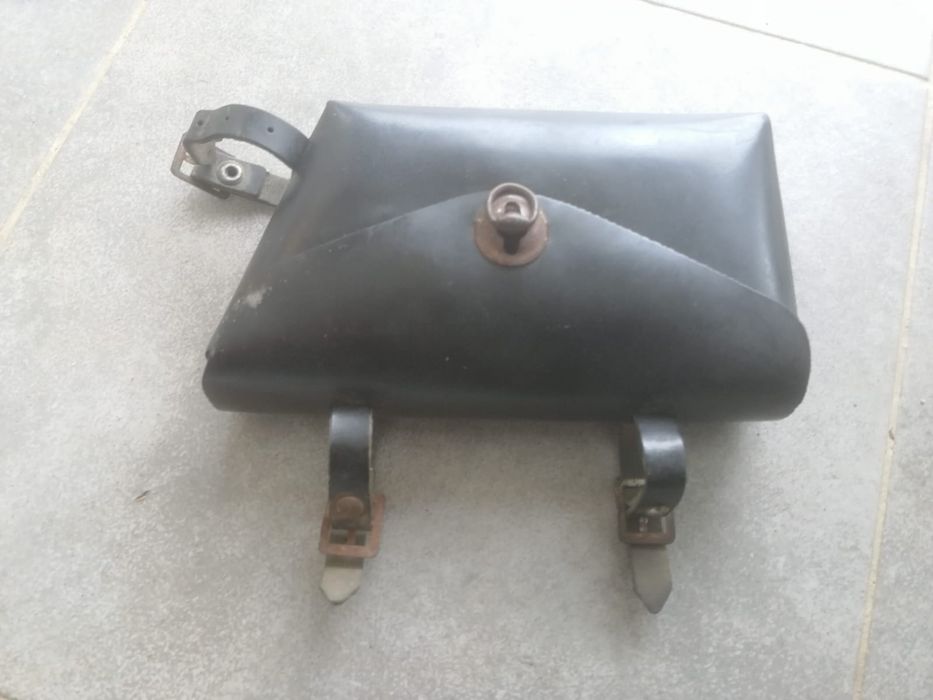 Gentuta pegas carpati