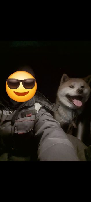 АкитоИну (ХАТИКО)