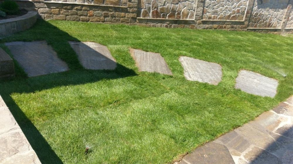 Тревен чим/райграс