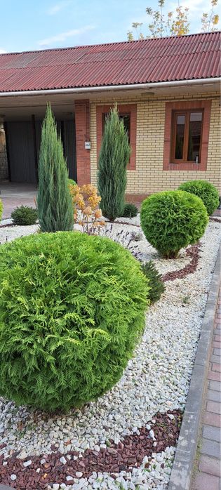 Озеленение под ключ