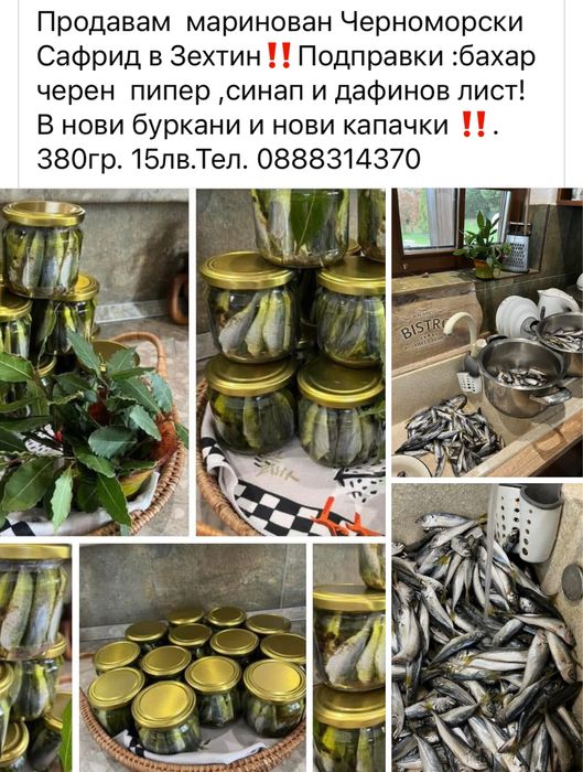 Продавам  черноморски Паламуд 10€ Сафрид.