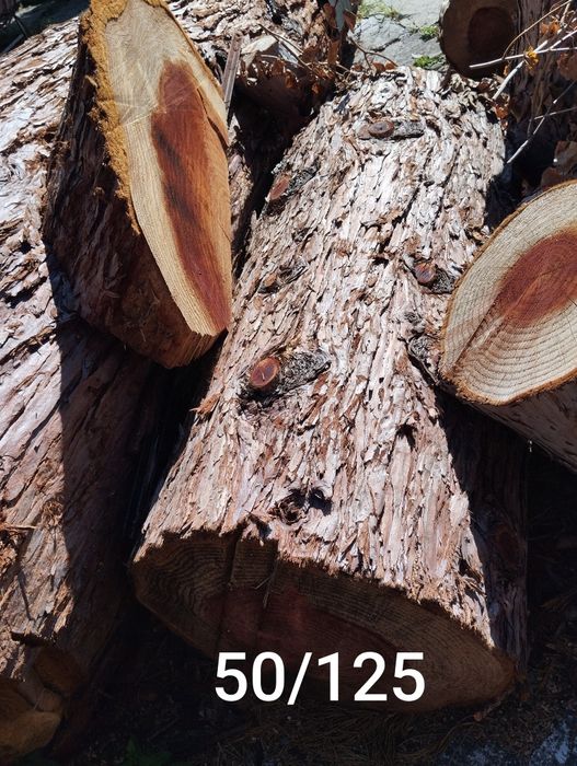 Дървен материал.Секвоя