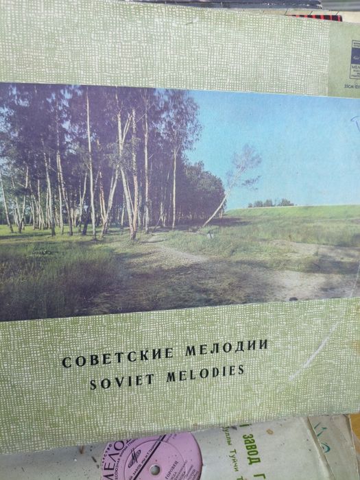 Виниловые пластинки