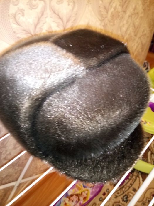 Мужская шапка Нерпа