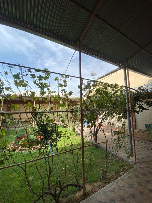 : “5 сотих файзли ҳовли срочно! Келшсе болад