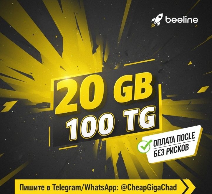 20 ГБ Beeline — 1000 тг