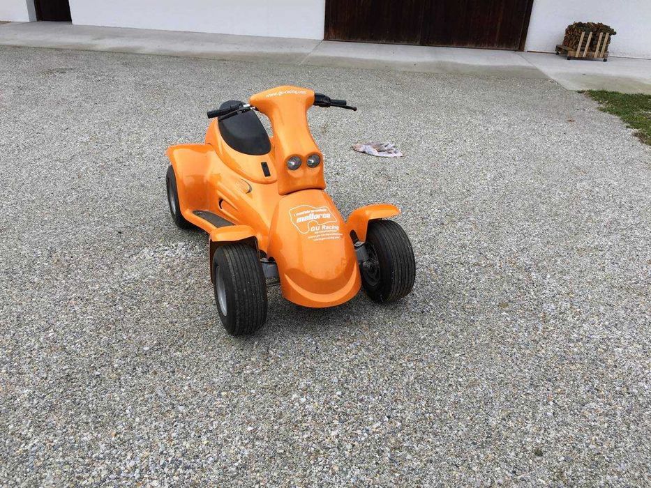 carut carucior electric