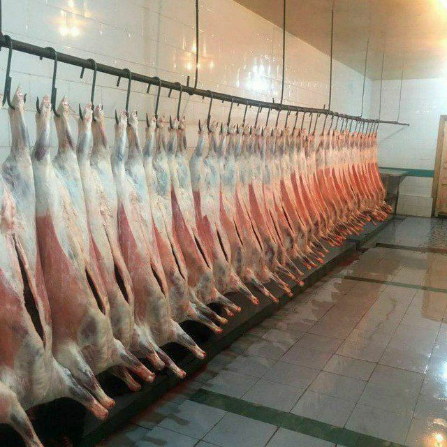 Qassop xzmati toshken shaxar