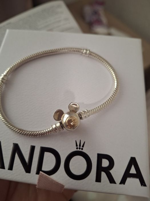 Гривна и талисмани Pandora