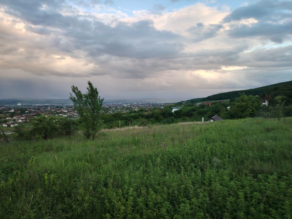Teren de vânzare Micesti