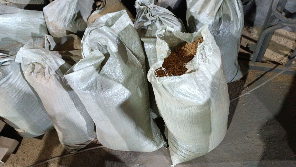 Опилки сосновые.