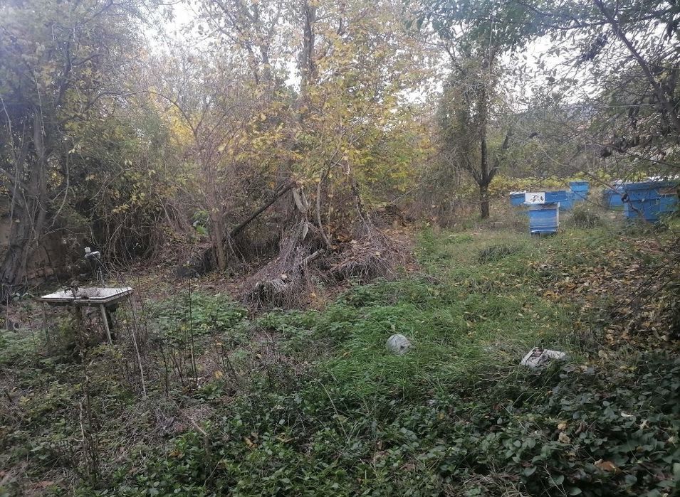 Продава се Къща в с. Храброво, Област Варна - 2000 кв.м за 10 €/кв.м - Снимка #6