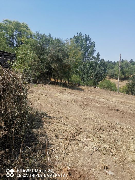 Продава изгодно парцел с гредоредна къща.
