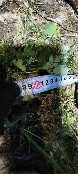 Рельсы. 5 штук состояние б/у