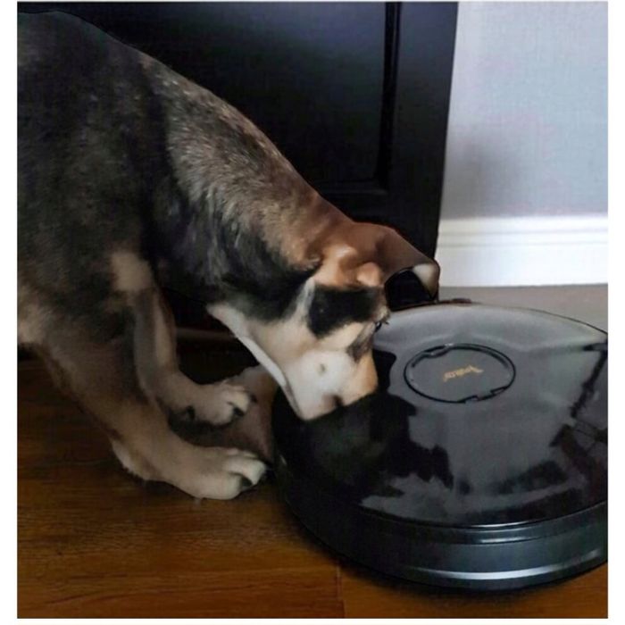 Dozator automat de hrana pentru animale, 6 compartimente 150ml, negru,