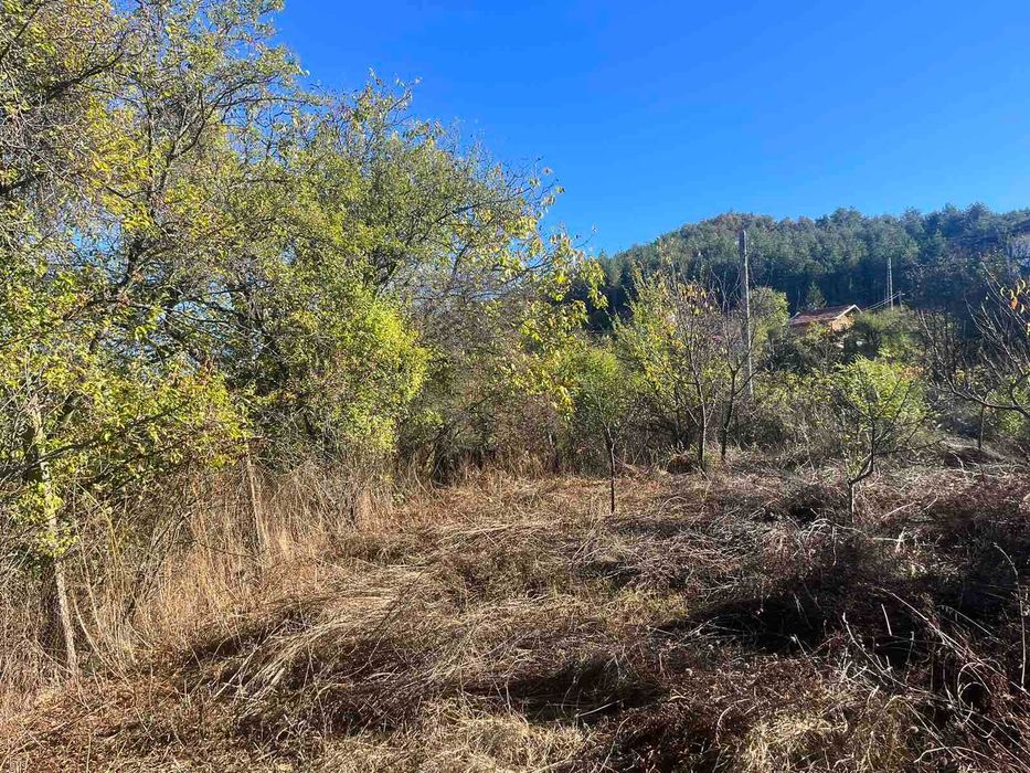 Продава се Парцел в с. Пролом, Област Пловдив - 700 кв.м за 11 €/кв.м - Снимка #3