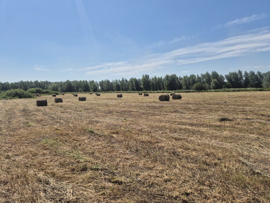Продам рулоны 200кг