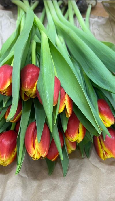 Розы китай склад в Алматы. Тюльпаны