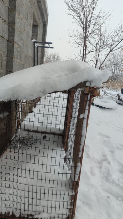 Барьер для кроликов