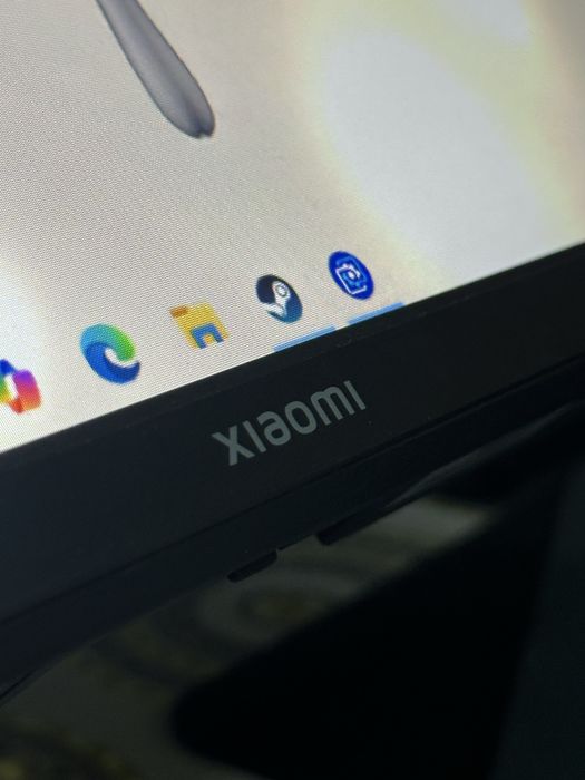 Моник XIAOMI 100гц