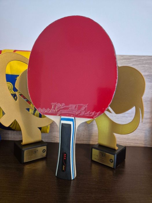 Paletă chinezeasca profi XVT EFECT Max de atac