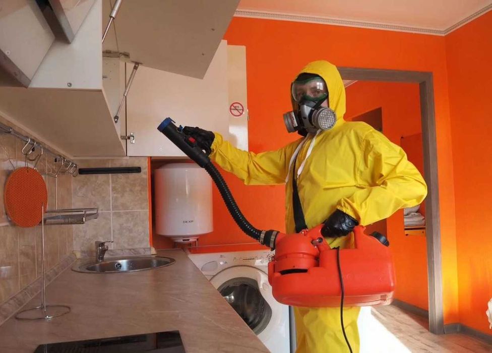 Dezinfeksiya dizinfeksiya dizenfeksiya sichqon, kalamush, ilon,