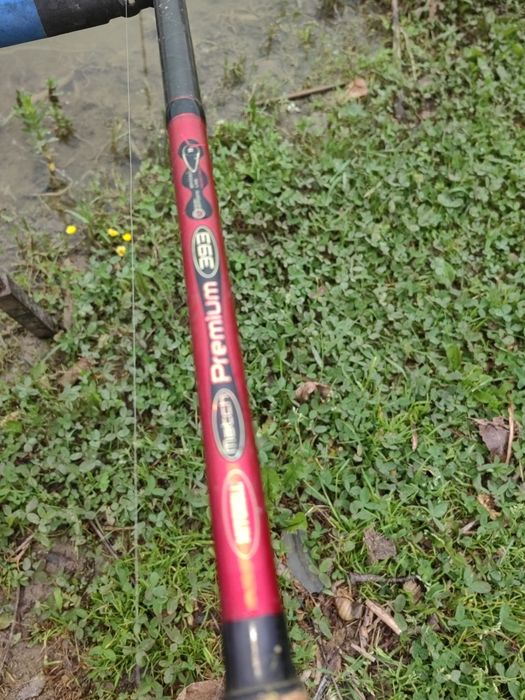 Carp match Mitchel premium