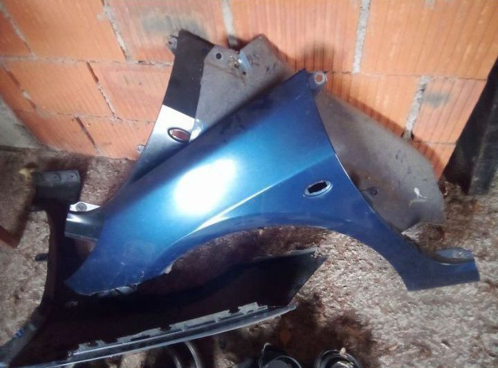 Aripioare Peugeot 307