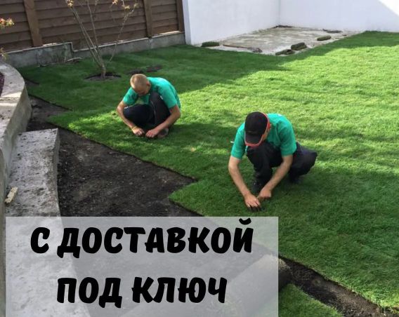 Качественный газон от питомника Алматы