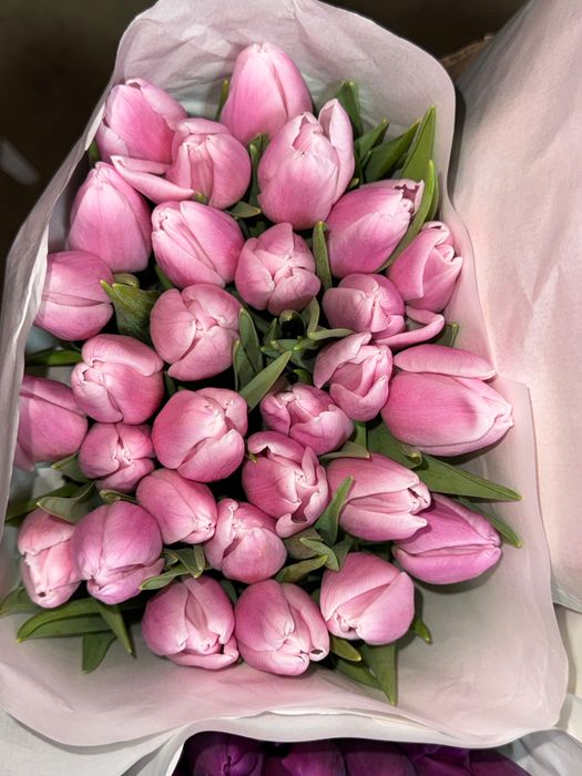 Тюльпаны оптом и в розницу