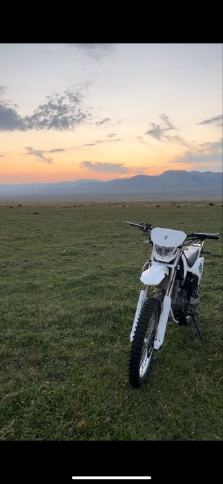 06 ендура 250 куп