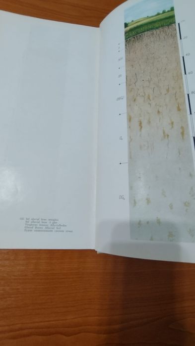 *Solurile României : Constantin D. Chiriță / altele