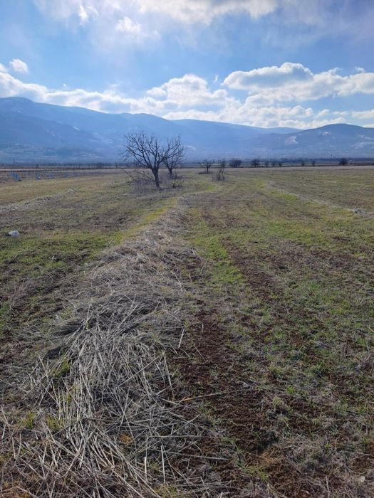 Давам земя под наем Асеновградско до КЦМ