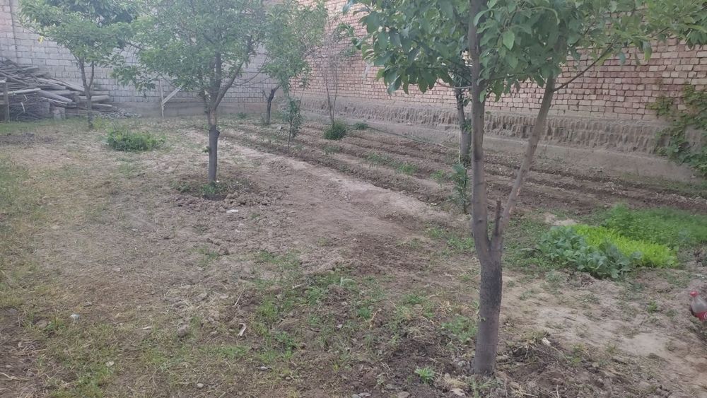 Уй сотилади 4 сотук киров олмазор махаллада