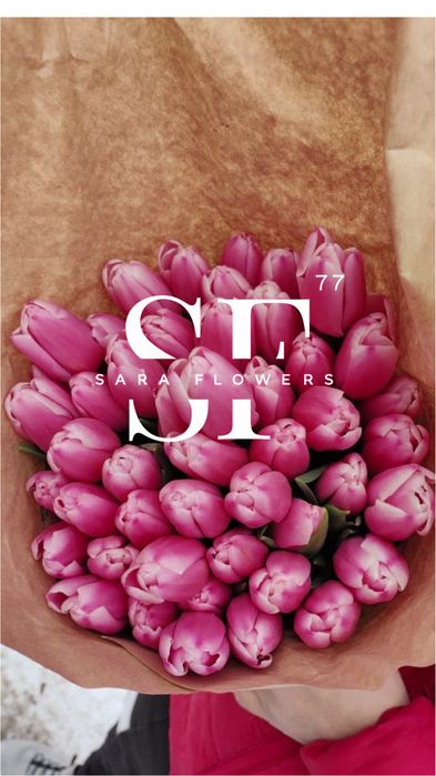 Оптовая продажа тюльпанов