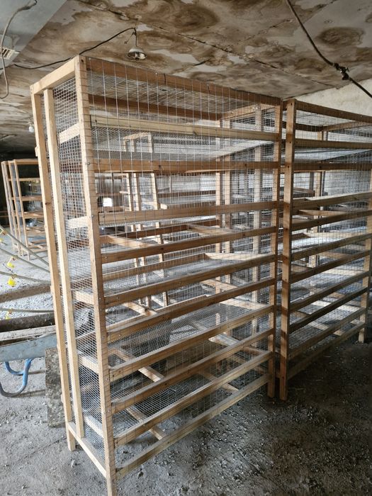 Инкубатор для яиц