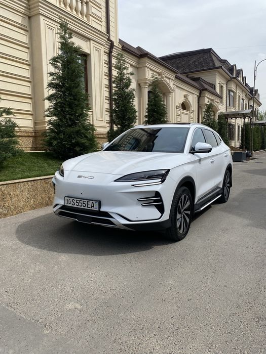 Byd song plus champioon 2024 tozza