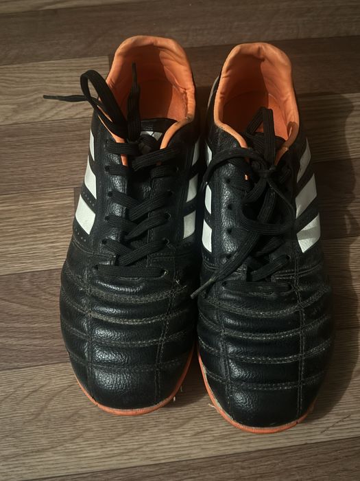 Сороконожка