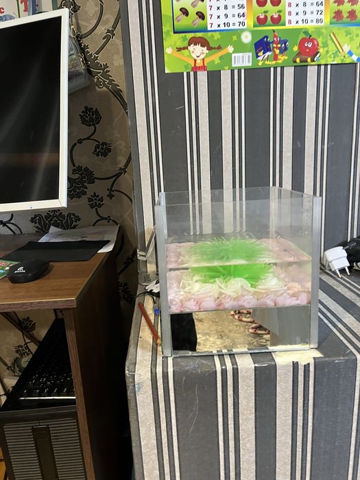 Оквариум для рыб