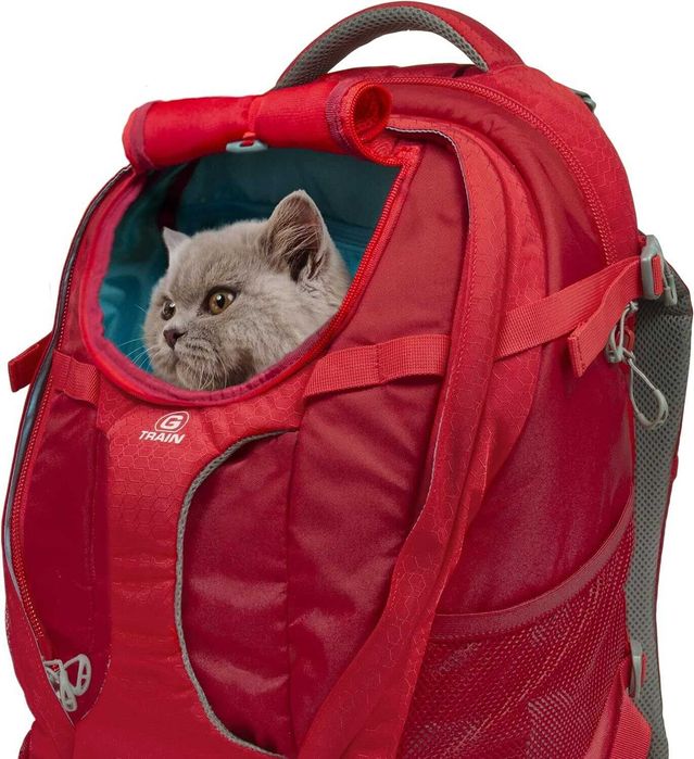 Kurgo G-Train dog backpack, with integrated pet compartment, waterproof base, for pets up to 11 kg, red