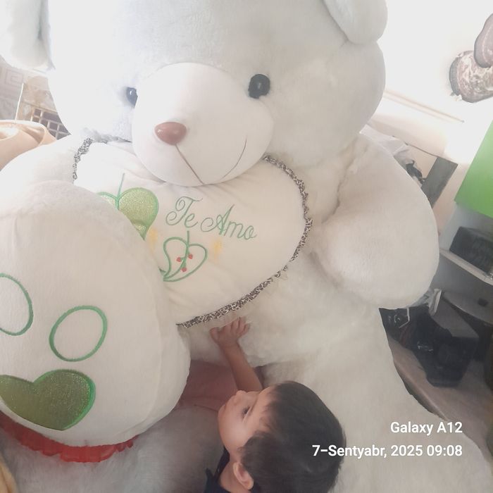 Kotta yumshoq ayiqcha